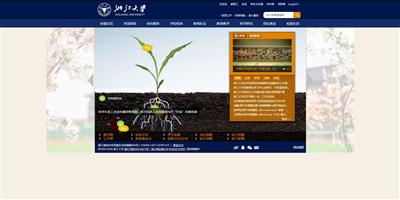浙江大学网站截图