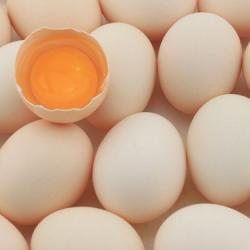 鸡蛋不宜生食 每日一个足矣