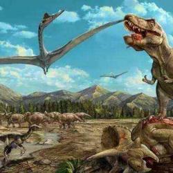 恐龙灭绝同时导致全球气温升高