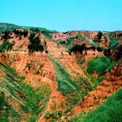 科学家发现中国黄土高原212万年以来的上陈旧石器遗址