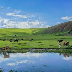 内蒙古旅游去哪个城市 内蒙古去哪个城市旅游