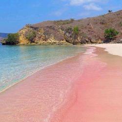 世界十大浪漫的粉色沙滩
